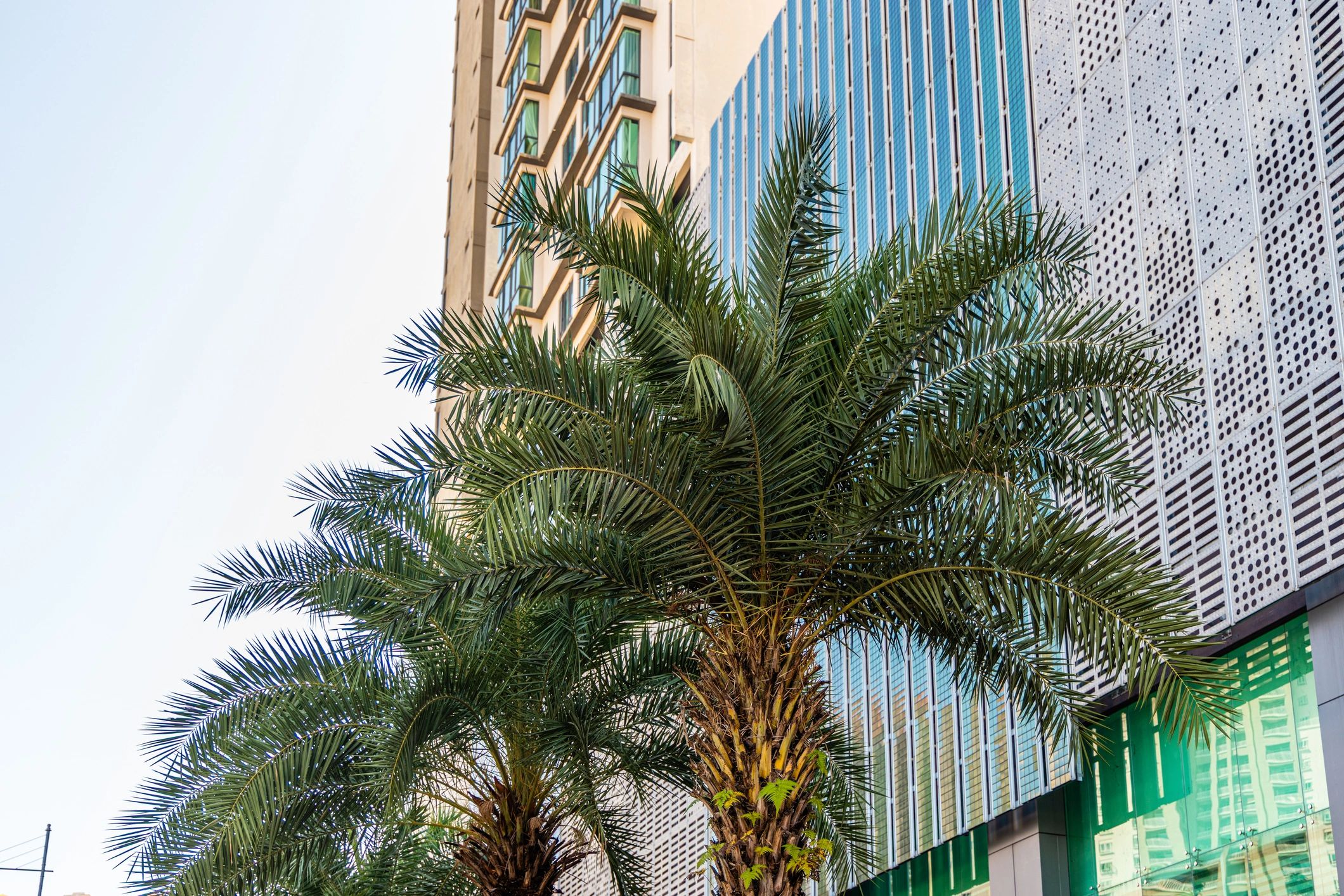 Modern luxury hotel exterior in Malaysia